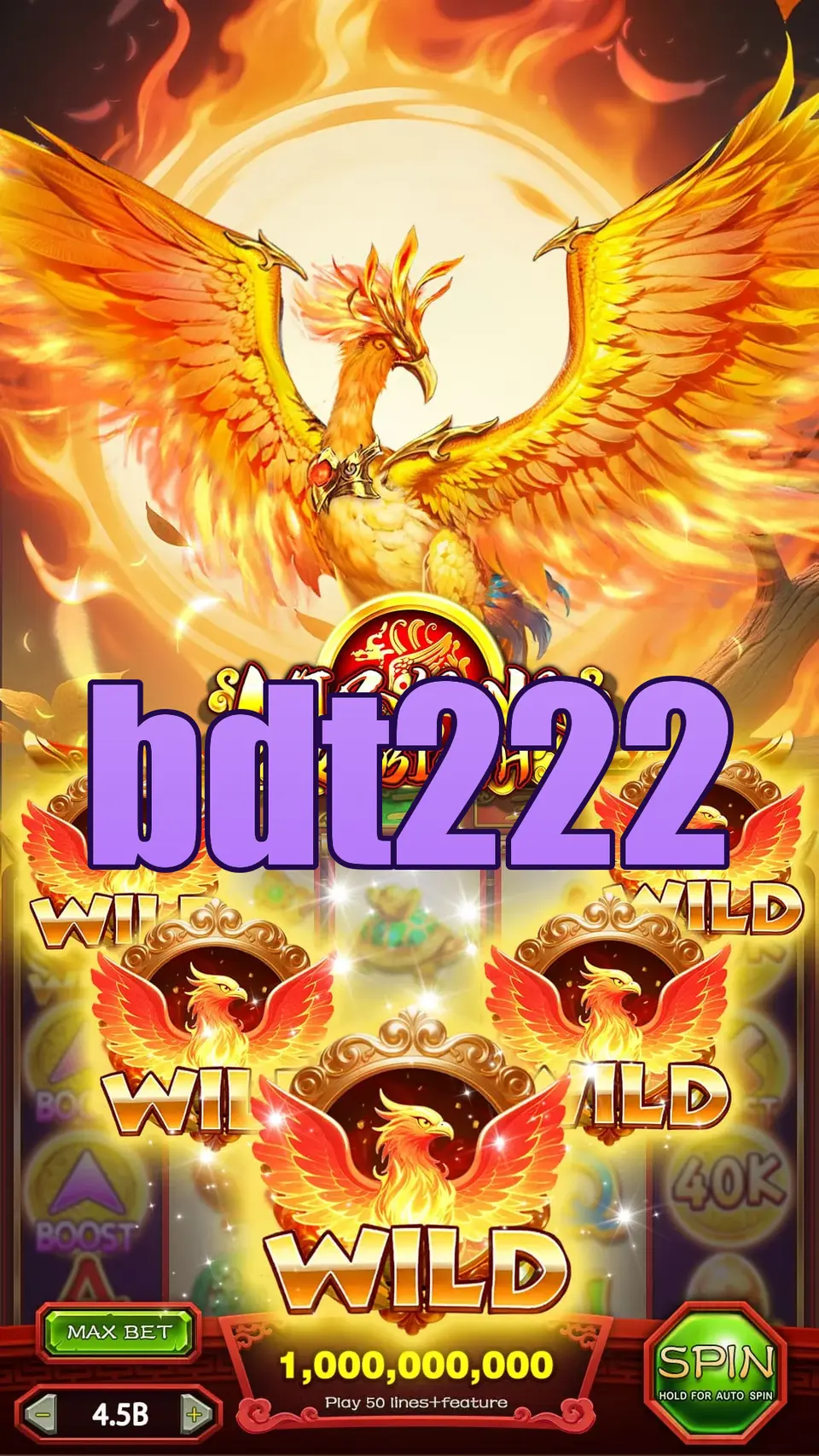 bdt222 লগইন
